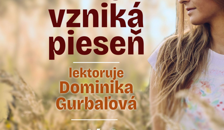 Aktuality / Koncerty - Brdárka - foto
