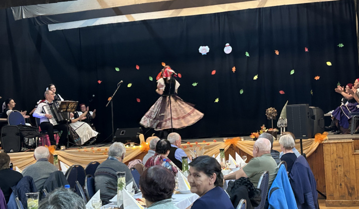 Mesiac úcty k starším 2025