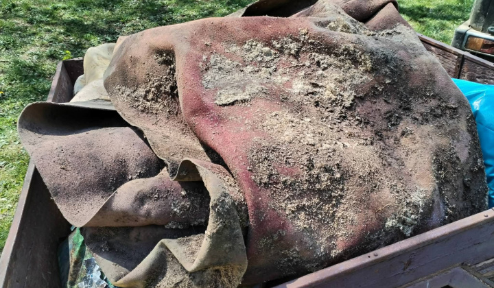 Aktuality / Deň Zeme - poďakovanie - foto